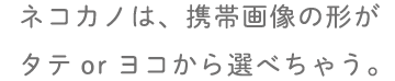 ネコカノは、携帯画像の形が タテorヨコから選べちゃう。